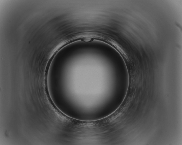 X0000094920853200711291310