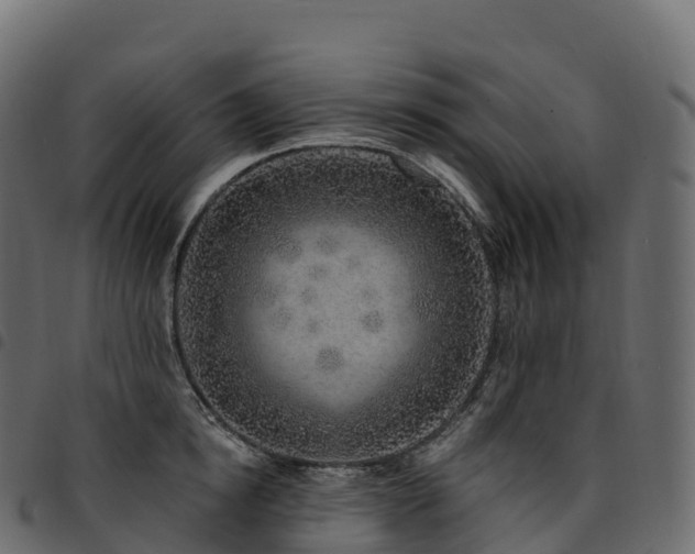 X0000094920854200711291310