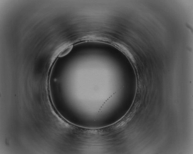 X0000094920855200711291310