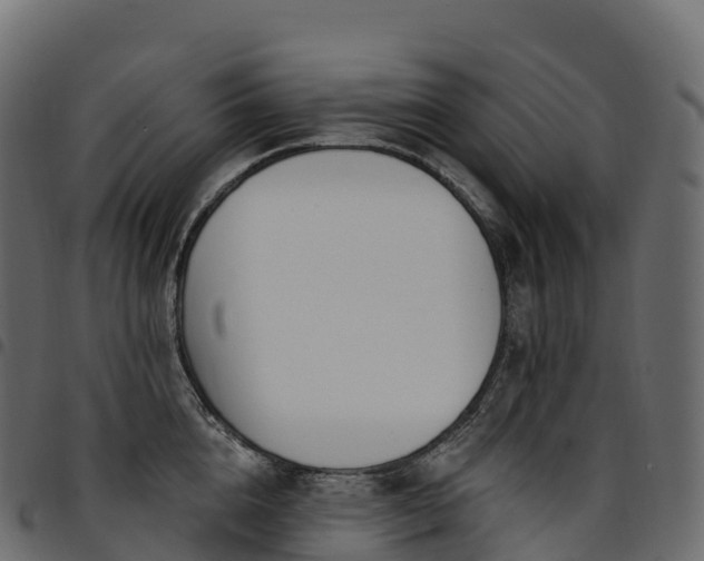X0000094920856200711291310