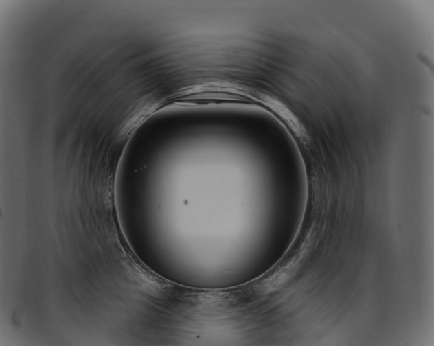 X0000094920857200711291310
