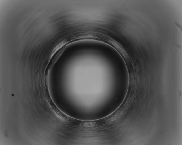 X0000094920858200711291310