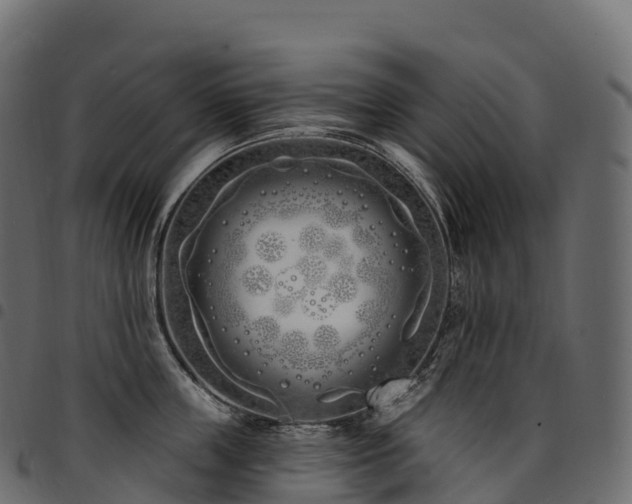 X0000094920859200711291310