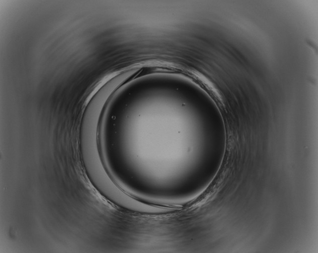 X0000094920860200711291310