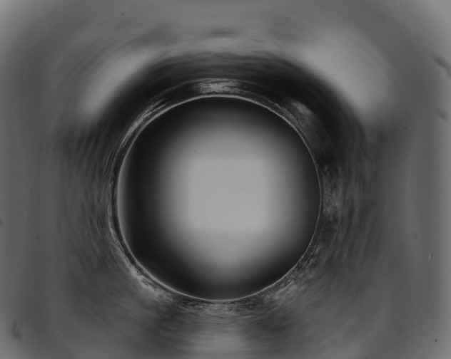 X0000094920861200711291310