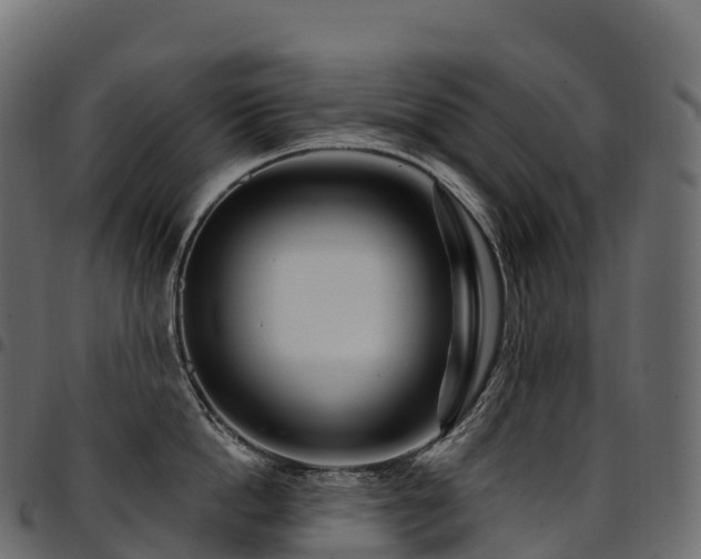 X0000094920862200711291310