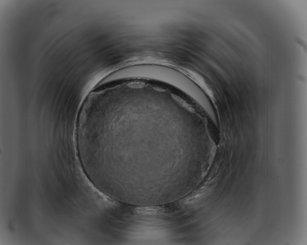 X0000094920863200711291310