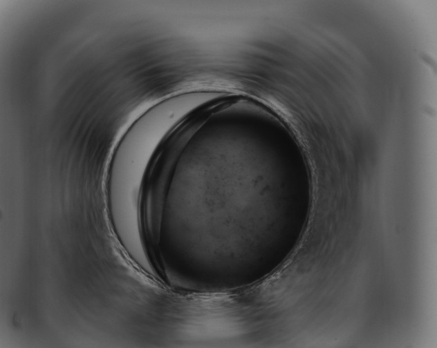 X0000094920864200711291310
