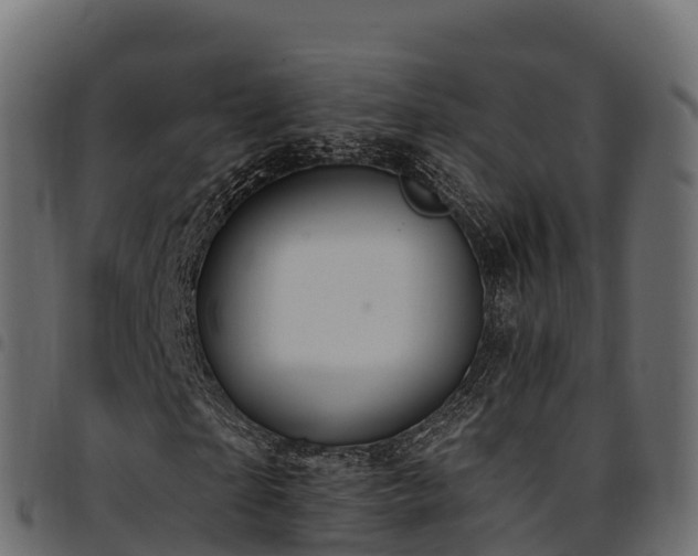X0000094920865200711291310