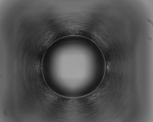X0000094920867200711291310