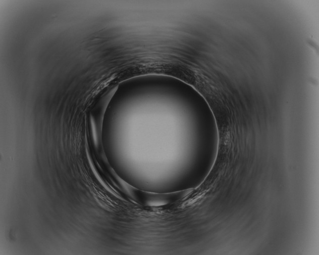 X0000094920868200711291310