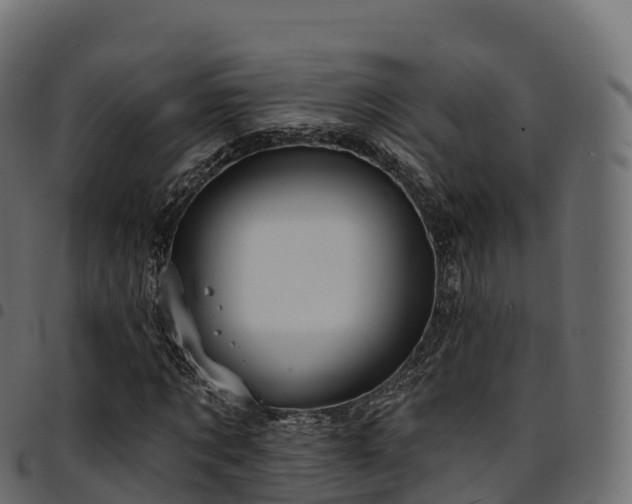 X0000094920869200711291310