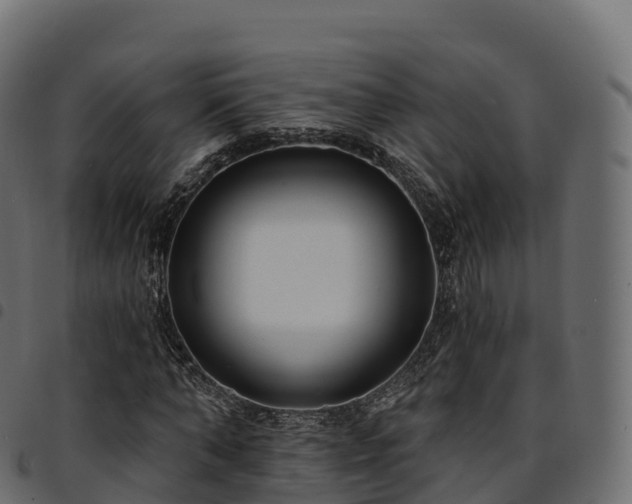 X0000094920870200711291310