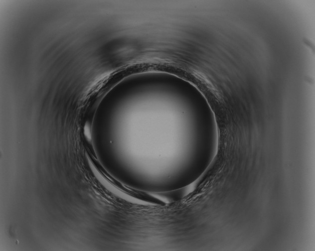 X0000094920872200711291310