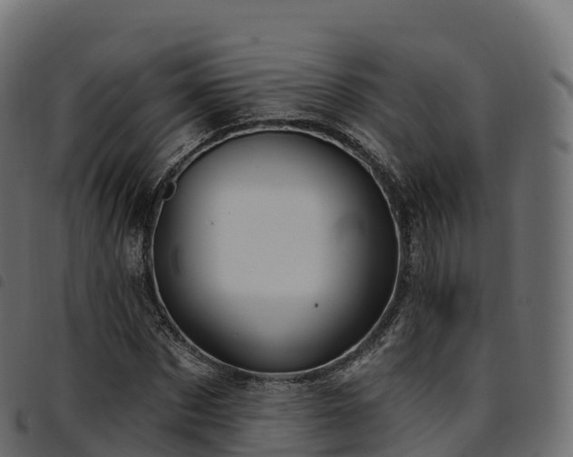 X0000094920873200711291310