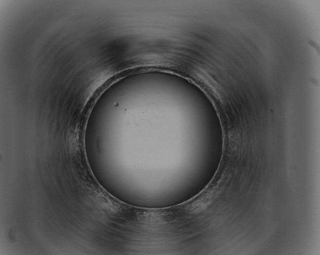 X0000094920875200711291310