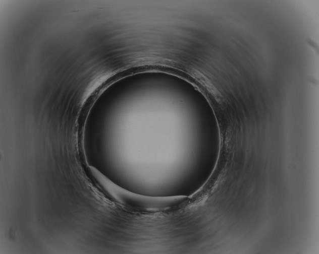 X0000094920877200711291310
