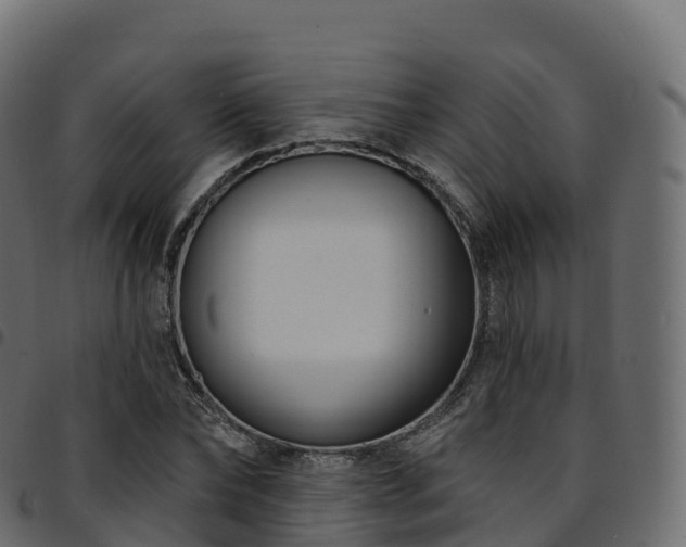 X0000094920878200711291310