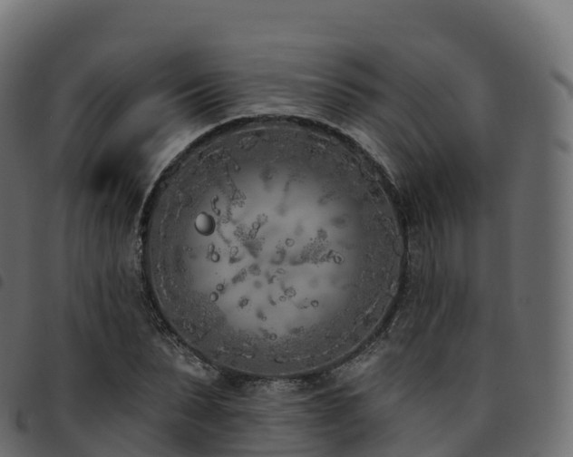 X0000094920879200711291310