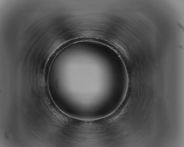 X0000094920880200711291310