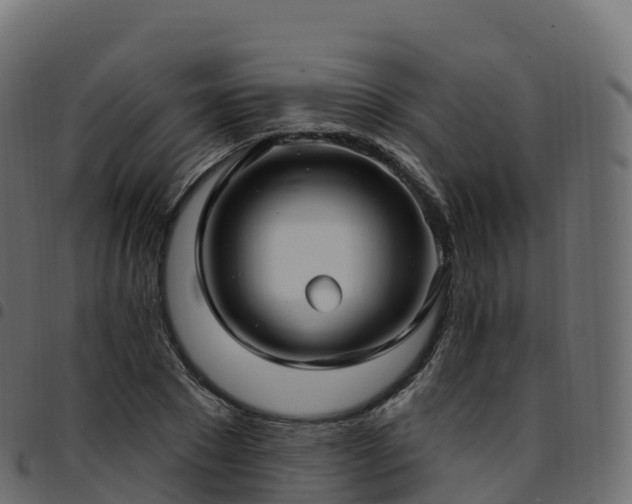 X0000094920881200711291310