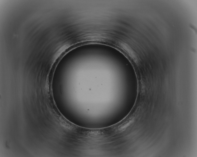 X0000094920883200711291310