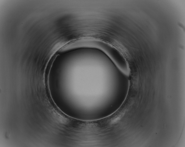X0000094920884200711291310