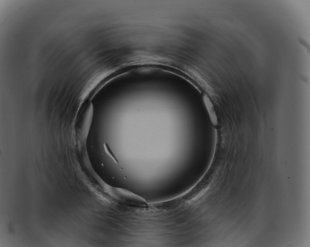 X0000094920885200711291310