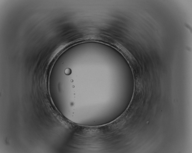X0000094920886200711291310