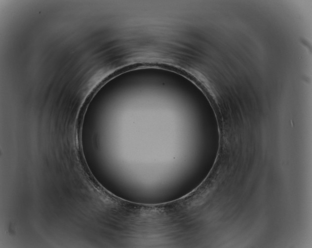 X0000094920887200711291310