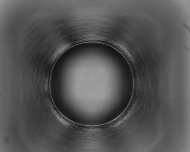 X0000094920889200711291309