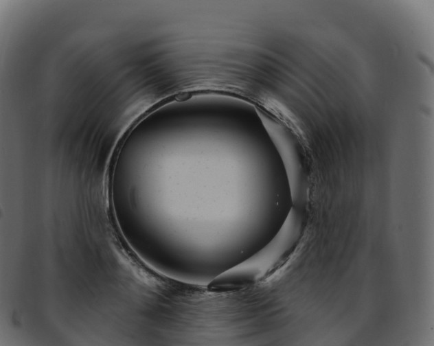 X0000094920892200711291309