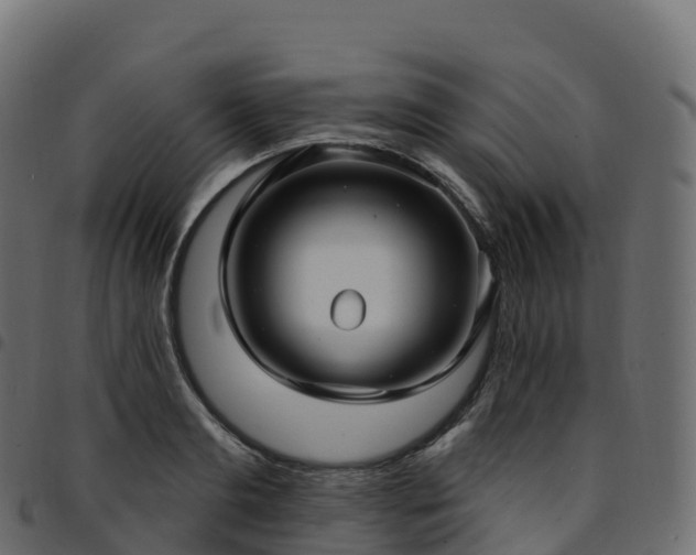 X0000094920893200711291309