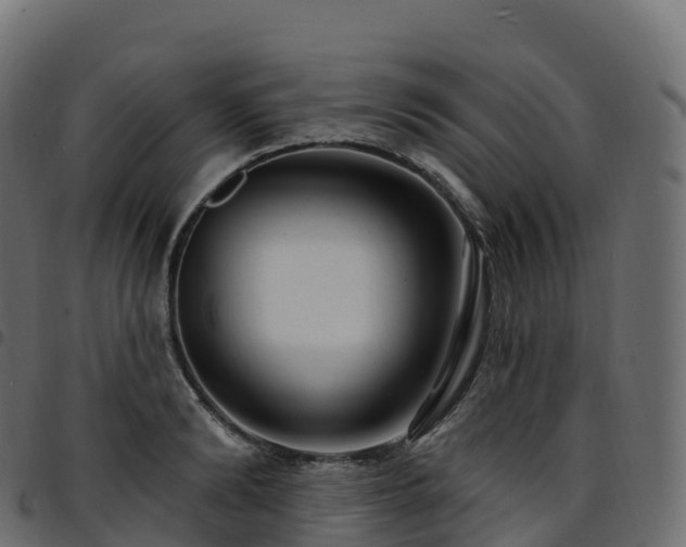 X0000094920894200711291309