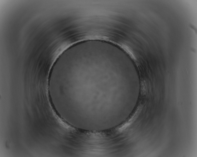 X0000094920895200711291309
