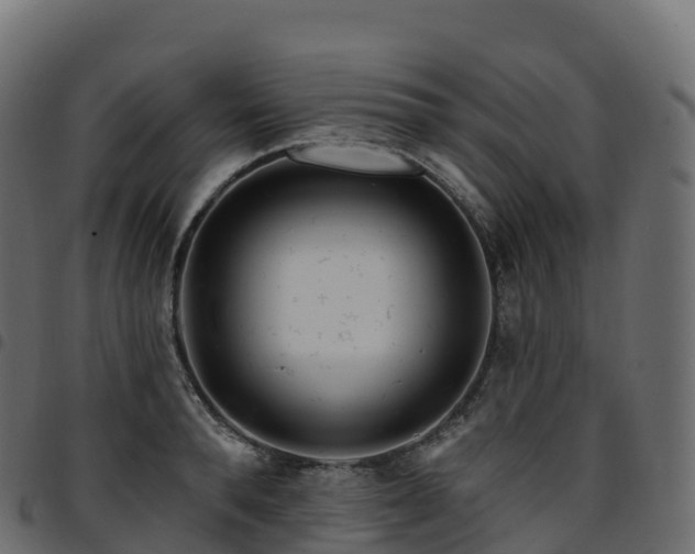 X0000094920896200711291309