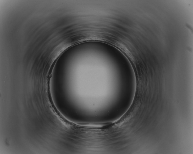 X0000094920898200711291309