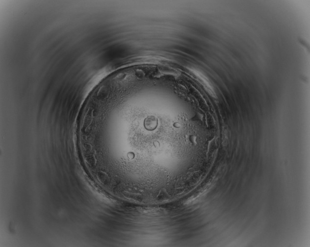 X0000094920899200711291309