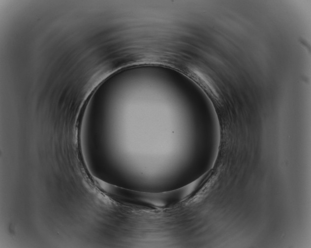 X0000094920900200711291309