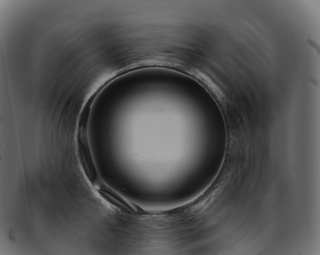 X0000094920902200711291309