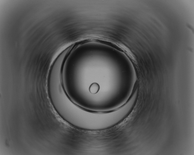 X0000094920904200711291309