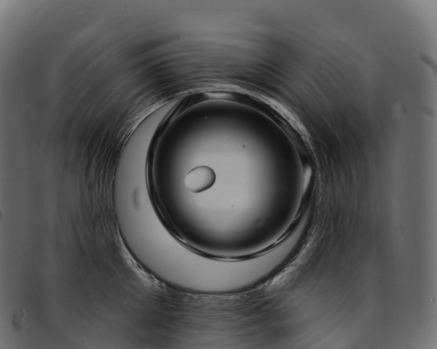 X0000094920905200711291309