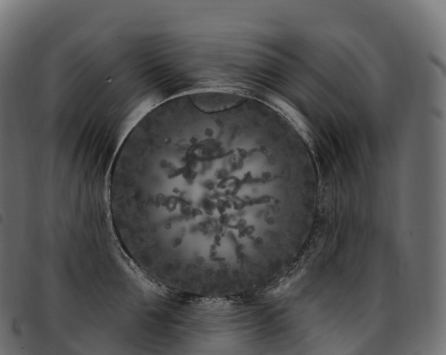 X0000094920907200711291309