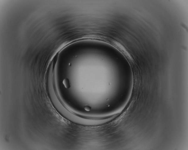 X0000094920908200711291309