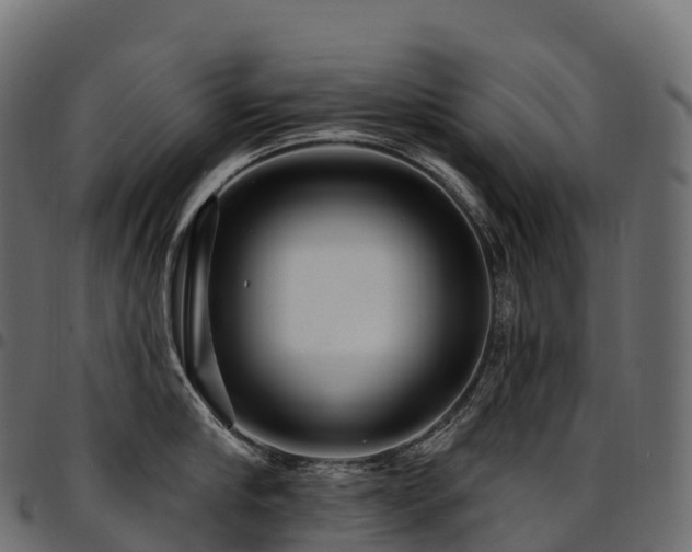 X0000094920910200711291309