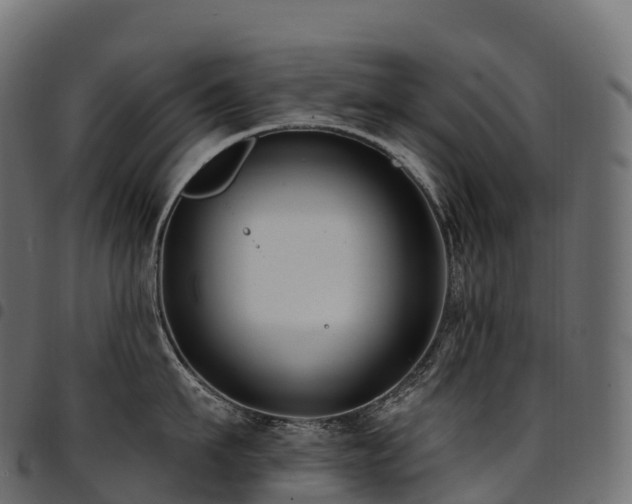 X0000094920911200711291309