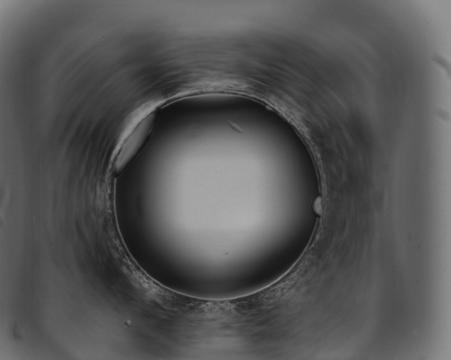 X0000094920912200711291309