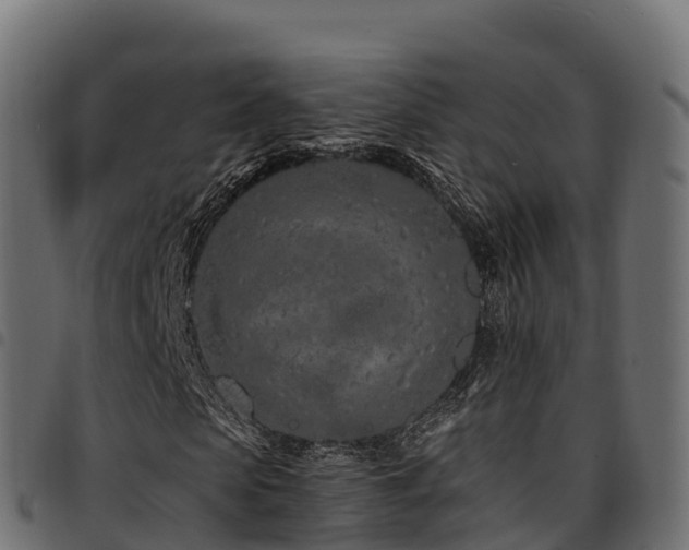 X0000094920913200711291309