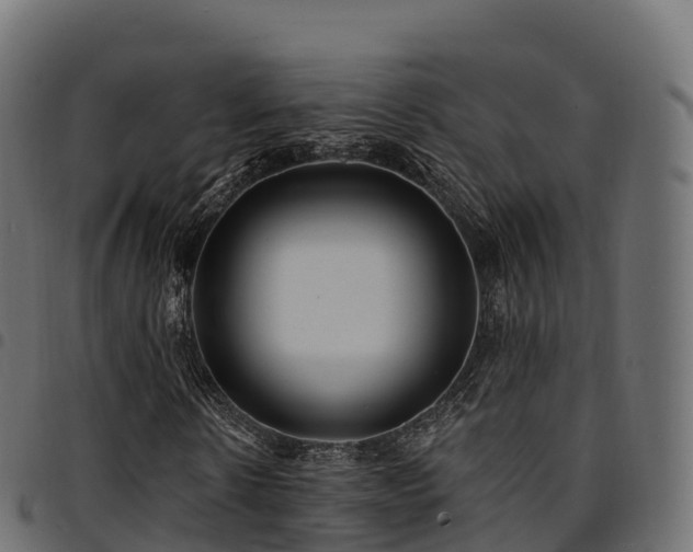 X0000094920914200711291309