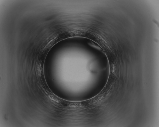 X0000094920915200711291309